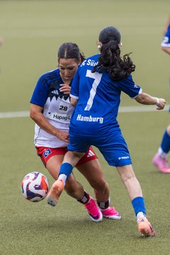 Bild 368 - wBJ Hamburger SV - FC Suederelbe : Ergebnis: 9:0